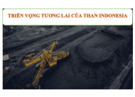 Triển vọng tương lai của than đá Indonesia